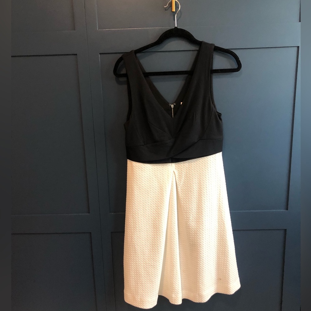Anthropologie Womens Size 6 Black and White Dress